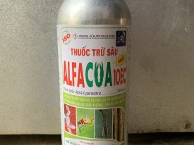 Alternative view of ALFACUA 10EC - THUỐC TRỪ SÂU