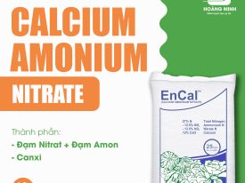 CANXI AMON NITRATE (CALCIUM AMONIUM NITRATE)