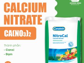 CANXI NITRATE (PHÂN BÓN CALCIUM NITRATE – CA(NO3)2)