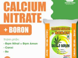 CALCIUM NITRATE + BORON