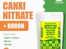 CANXI NITRATE + BORON