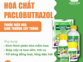 HÓA CHẤT PACLOBUTRAZOL