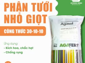PHÂN TƯỚI NHỎ GIỌT CÔNG THỨC 30-10-10