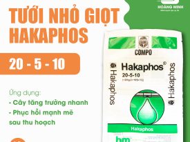 TƯỚI NHỎ GIỌT HAKAPHOS
