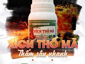 ⭐XÍCH THỐ MÃ DẦU KHOÁNG SINH HỌC ROCTEN 748SL