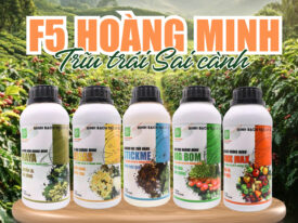 Bộ sản phẩm F5 Hoàng Minh giúp ra hoa đậu trái