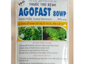 Alternative view of AGOFAST 80WP