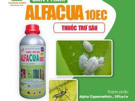 ALFACUA 10EC - THUỐC TRỪ SÂU