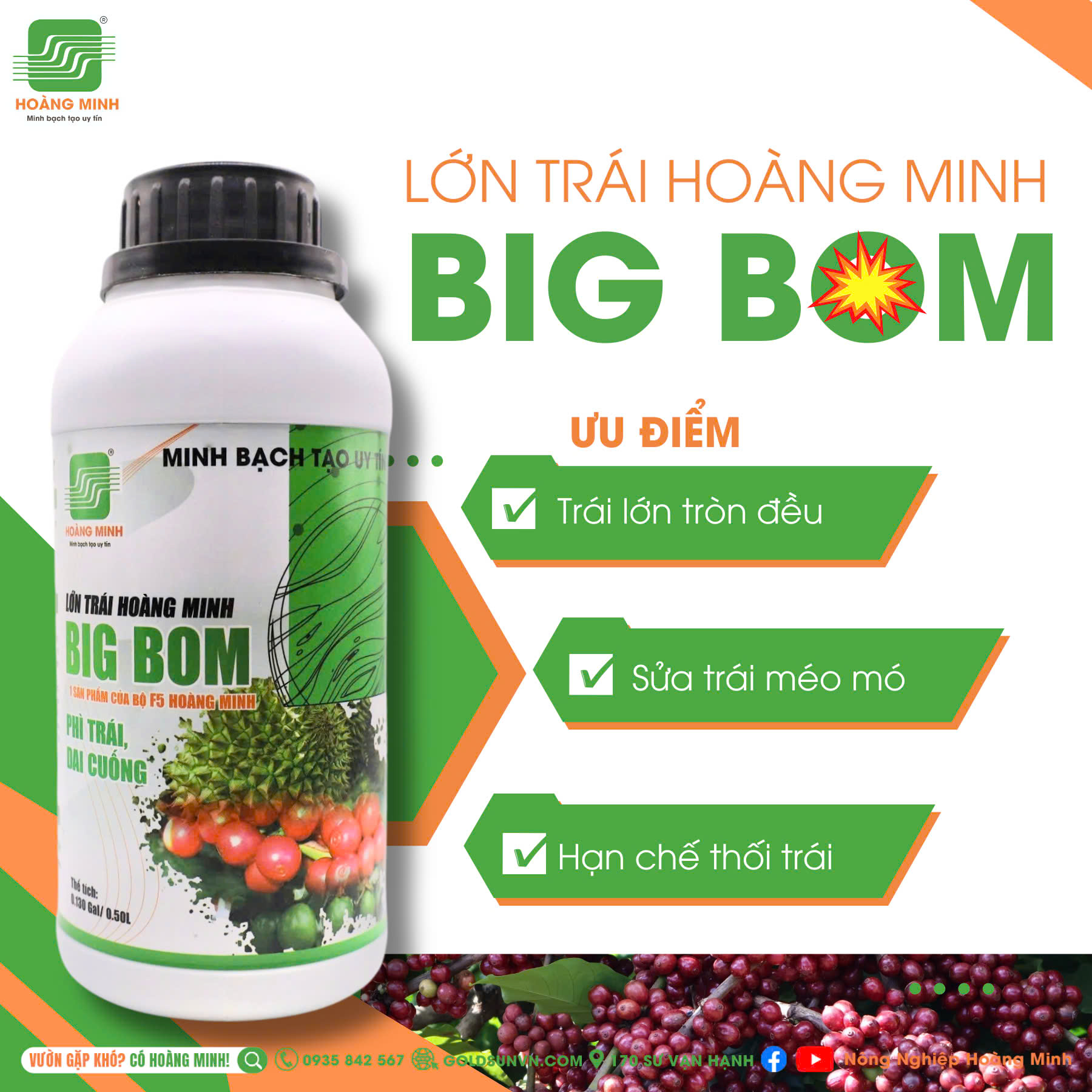 Big Bom Lớn Trái Hoàng Minh