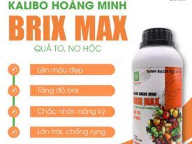 Brix Max Kalibo Hoàng Minh
