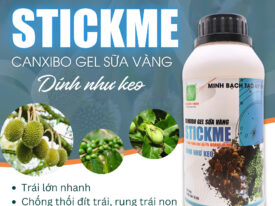 Stickme Canxi bo gel sữa vàng