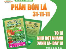 PHÂN BÓN LÁ 31-11-11
