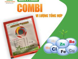 VI LƯỢNG CHELATE TỔNG HỢP AGOVIT COMBI