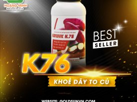 ⭐K76 KHỎE DÂY TO CỦ