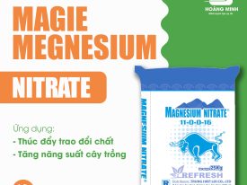 MAGIE MEGNESIUM NITRATE