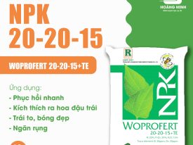 PHÂN NPK 20-20-15