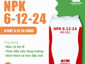 NPK 6-12-24+8SO3