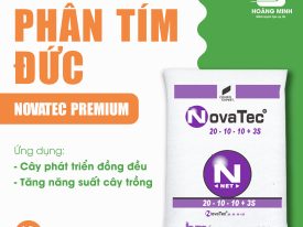 PHÂN TÍM ĐỨC NOVATEC PREMIUM