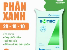 PHÂN XANH 20.10.10