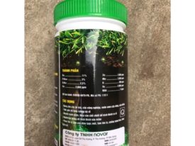 Alternative view of RA RỄ CỰC MẠNH – ORGOROOT