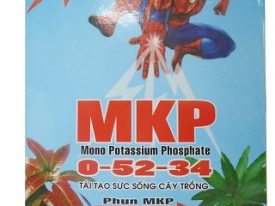 Alternative view of TẠO MẦM HOA 10.55.10 +TE