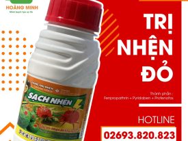 Sạch nhện xử lý hiệu quả nhện đỏ gây hại cây sầu riêng vàng lá còi cọc