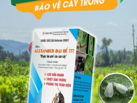 Alternative view of ALEXANDER ĐẠI ĐẾ 777