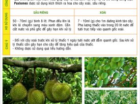 Alternative view of HÓA CHẤT PACLOBUTRAZOL