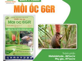 MỒI ỐC 6H