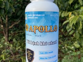 Alternative view of APOLLO