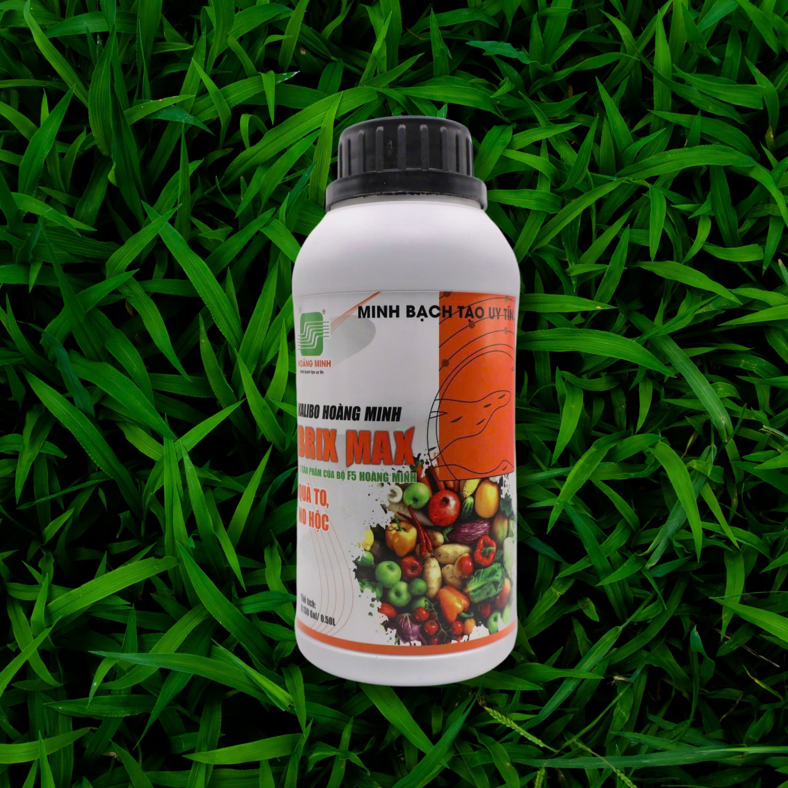 BRIX MAX (KALIBO HOÀNG MINH) - Ảnh 4