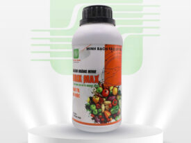 BRIX MAX (KALIBO HOÀNG MINH)