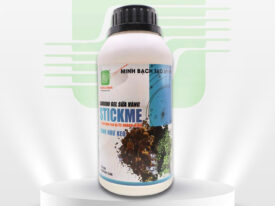 STICKME (CANXIBO GEL SỮA VÀNG)