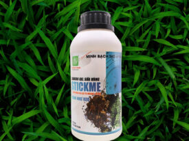 Alternative view of STICKME (CANXIBO GEL SỮA VÀNG)