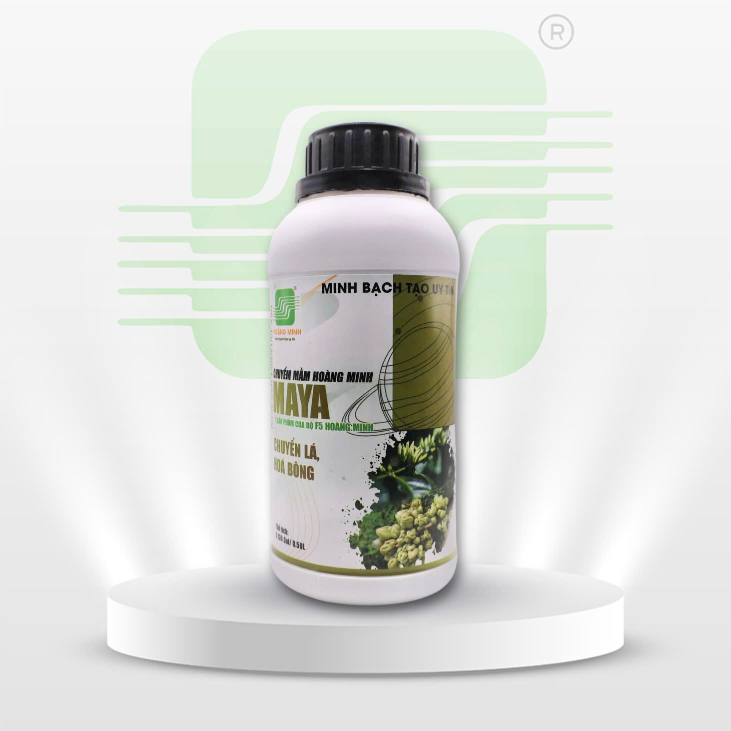 MAYA (CHUYỂN MẦM HOÀNG MINH)