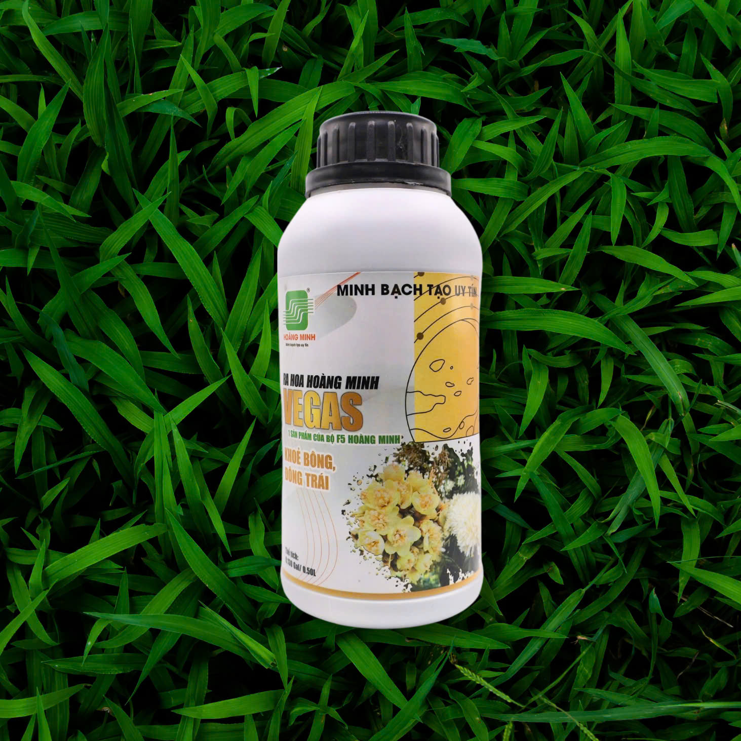 MAYA (CHUYỂN MẦM HOÀNG MINH) - Ảnh 3