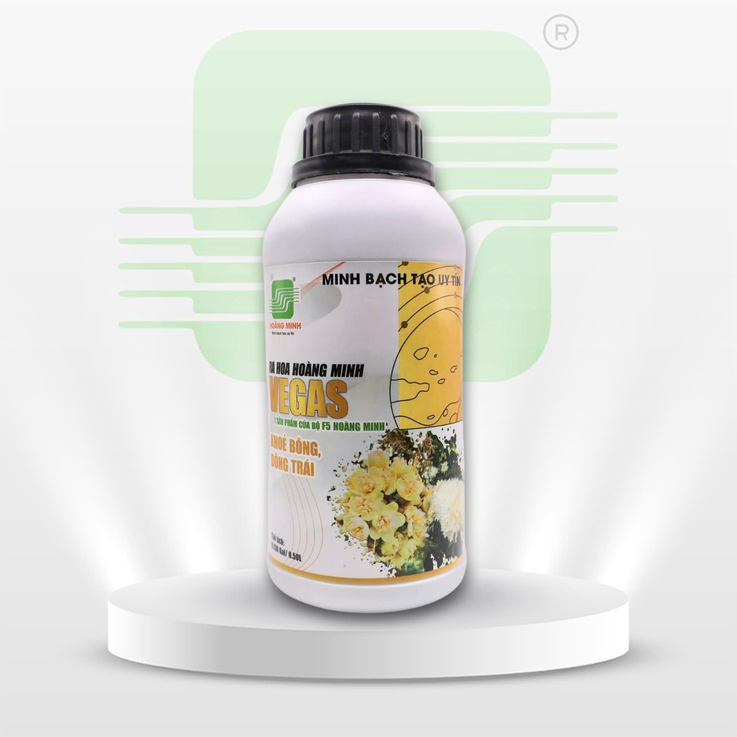 VEGAS (RA HOA HOÀNG MINH)