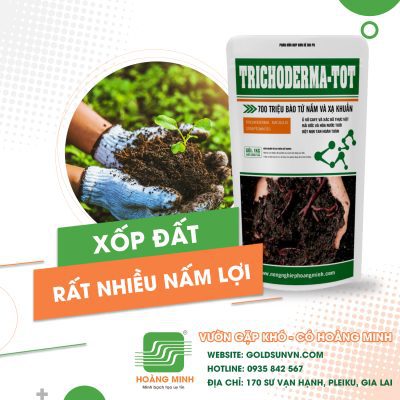 Trichoderma-Tot bổ sung nấm lợi cho đất