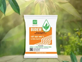 BUDEW - 31-11-11 TIẾT ĐỌT NHƯ Ý, LÁ KHOẺ XANH RÌ