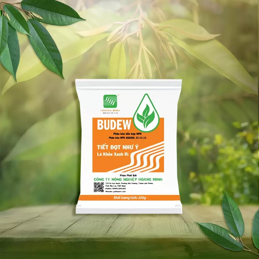 BUDEW - 31-11-11 TIẾT ĐỌT NHƯ Ý, LÁ KHOẺ XANH RÌ