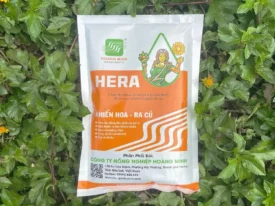 HERA - MKP KHIỂN HOA RA CỦ, DỪNG CÂY CHẶN ĐỌT TẠO MẦM XUỐNG CỦ
