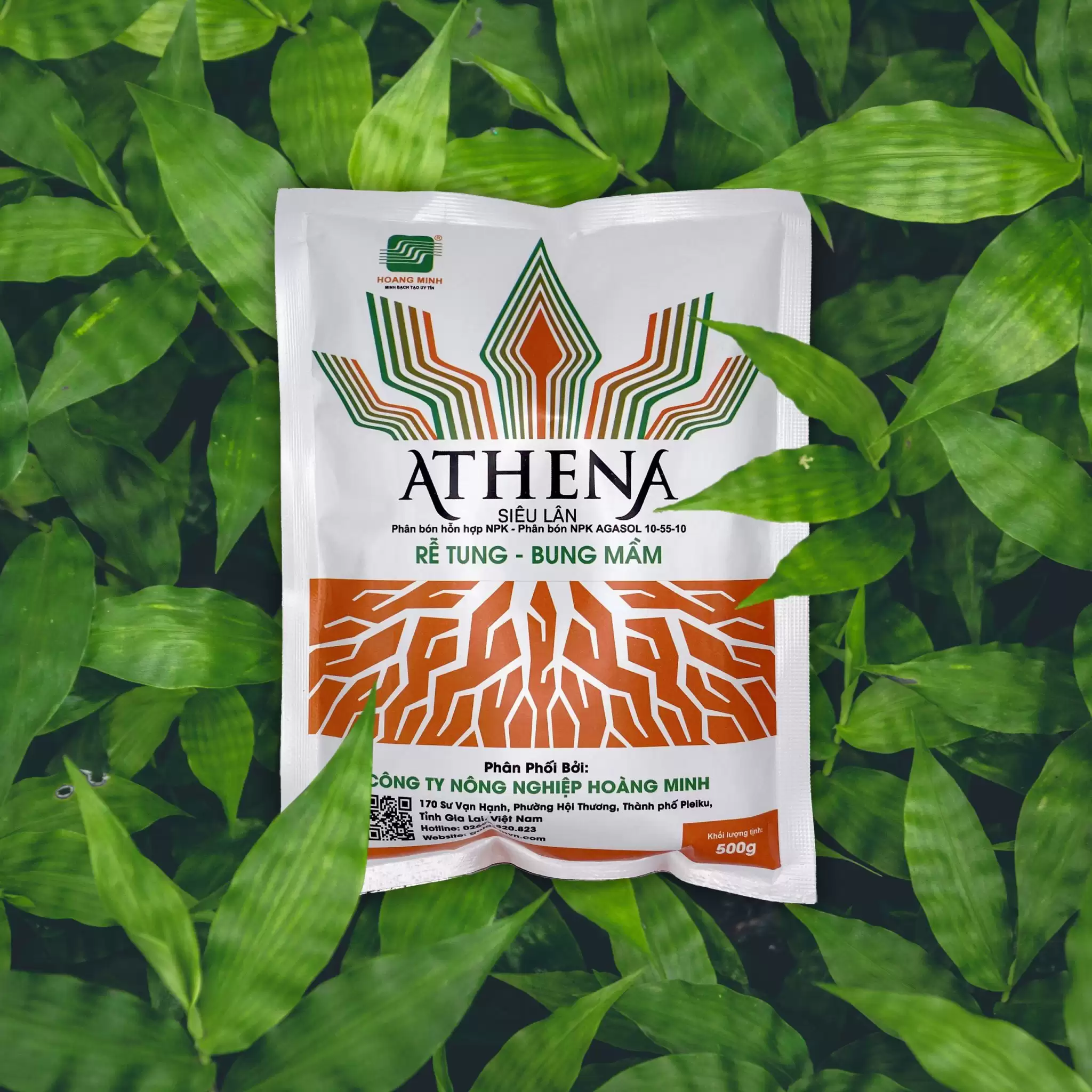 ATHENA - SIÊU LÂN RỄ TUNG BUNG MẦM