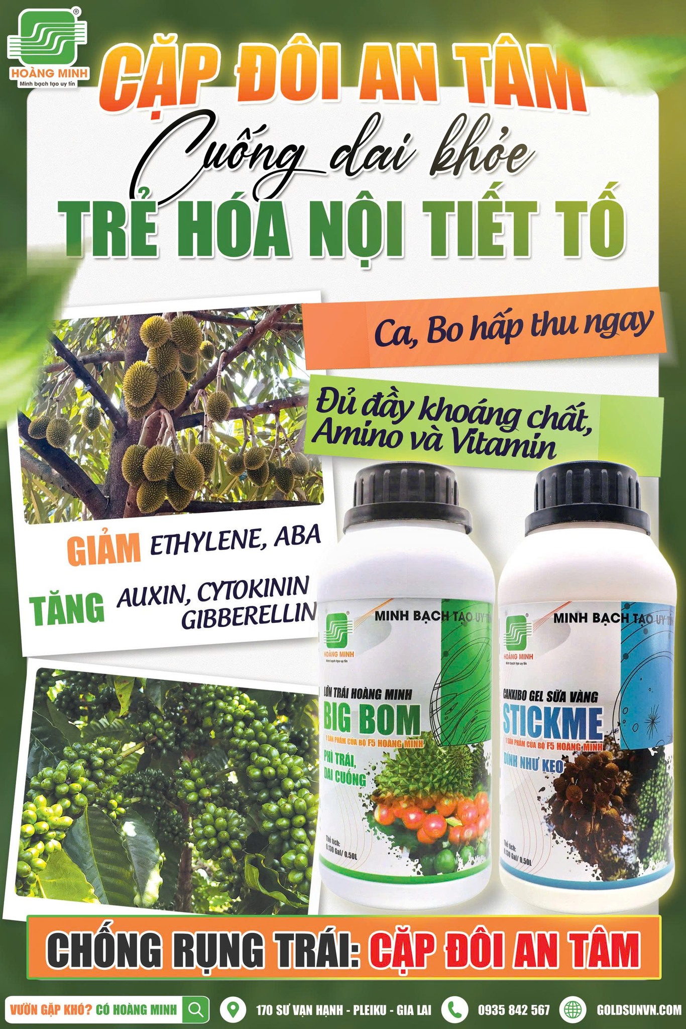Cặp đôi An Tâm chống rụng hiệu quả