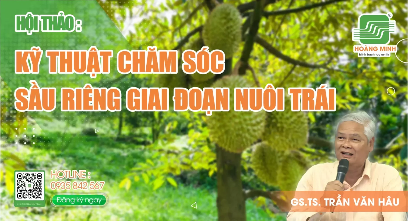 ky-thuat-cham-soc-sau-rieng-giai-doan-nuoi-trai
