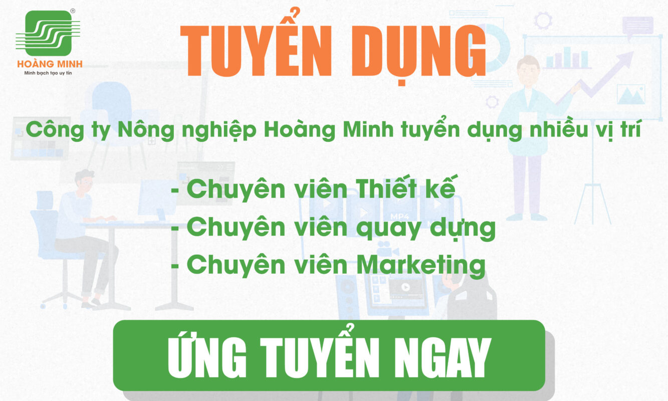 Tuyển dụng nhân sự nhiều vị trí marketing
