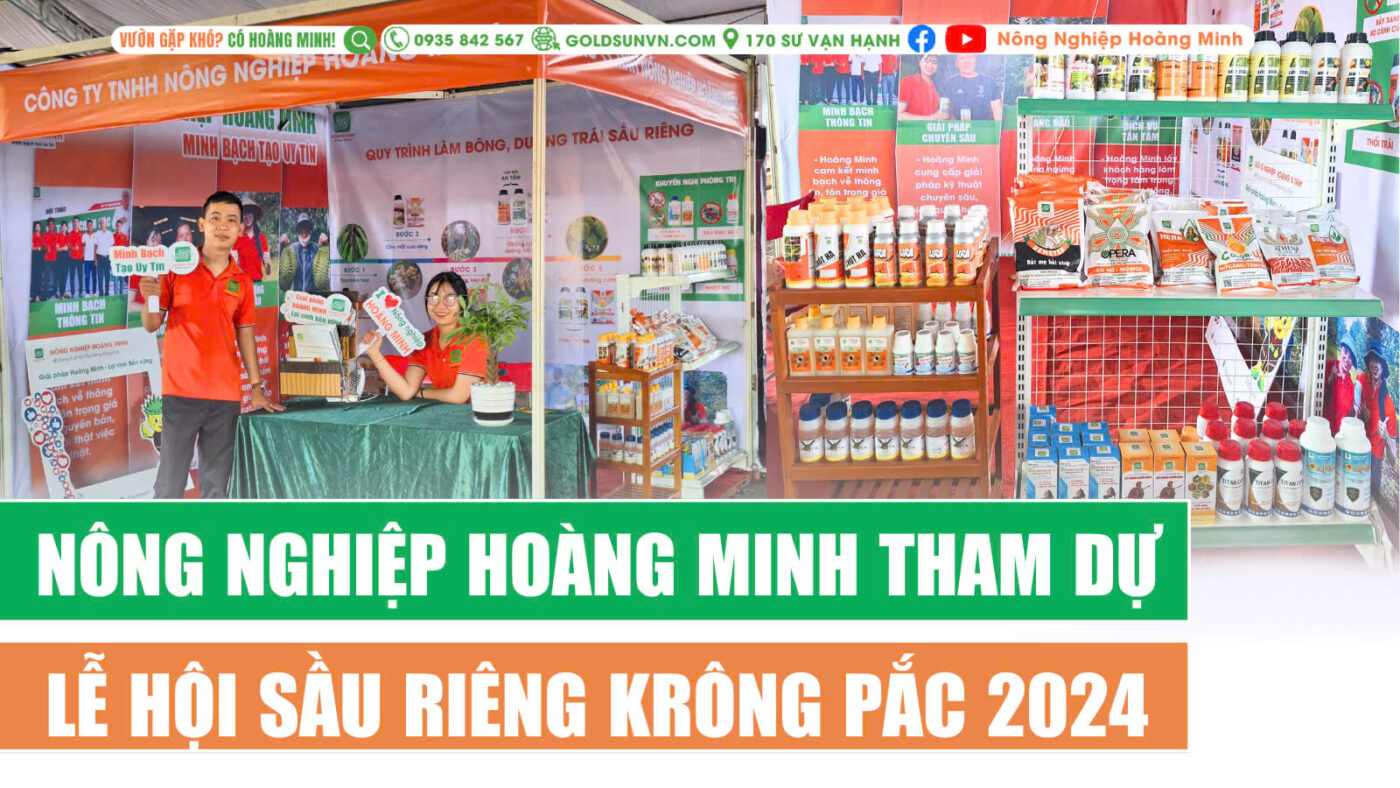 Lễ hội sầu riêng Krông Pắc