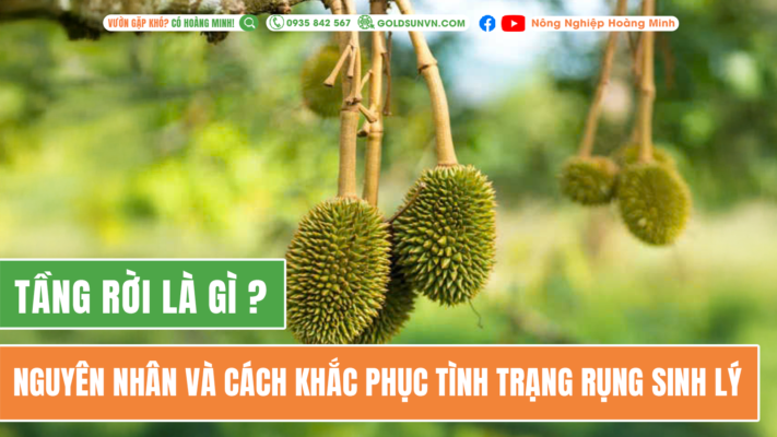 Tầng rời là gì? Nguyên nhân và cách khắc phục