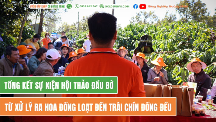 Hội thảo đầu bờ ra hoa đồng loạt đến trái chín đồng đều