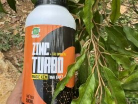 Alternative view of ZINCTURBO - MAGIE KẼM TINH CHẤT & TẢO SPIRULINA HỖ TRỢ BỘ LÁ XANH DÀY, VÀNG LÁ GÂN XANH
