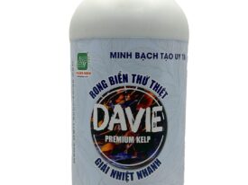 Davie rong biển thứ thiệt